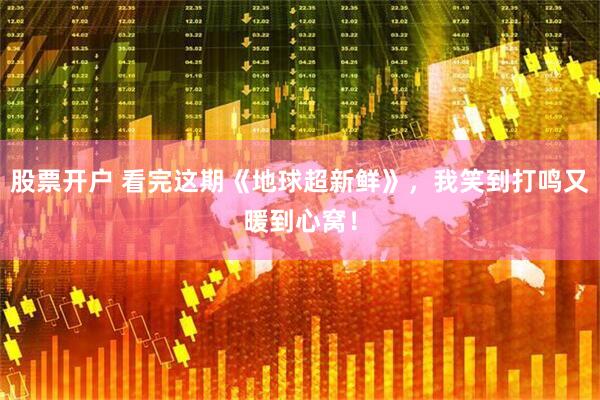 股票开户 看完这期《地球超新鲜》，我笑到打鸣又暖到心窝！